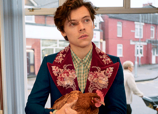 Photo of В шерстяных носках и с курицей: Гарри Стайлс в новой рекламе Gucci