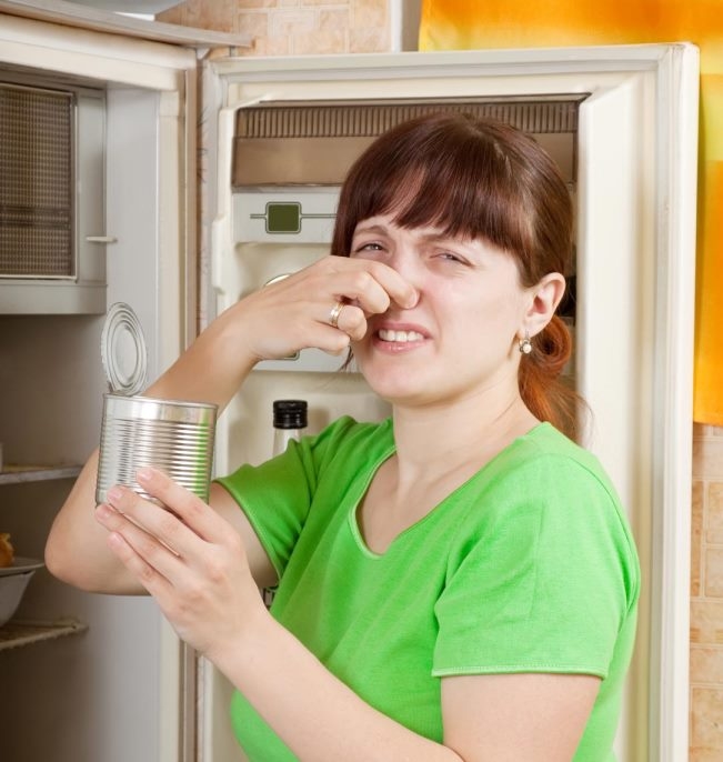 Photo of Как убрать запах из холодильника?  Какими могут быть причины запаха в холодильнике?