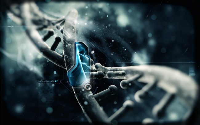 Photo of Ученые добавили две новые буквы в генетический код