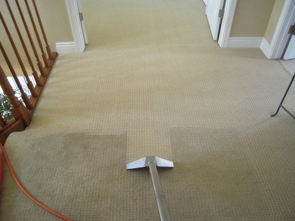 Photo of Чистка ковролина: способы и основные правила. Как чистить ковролин в домашних условиях?