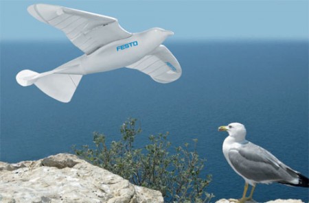 Photo of Festo SmartBird — механическая чайка
