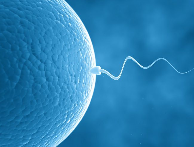 Photo of Создан безопасный негормональный контрацептив для мужчин