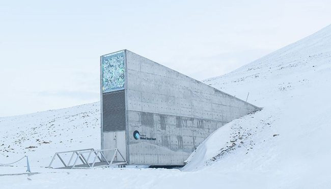 Photo of Всемирное семенохранилище было решено усовершенствовать