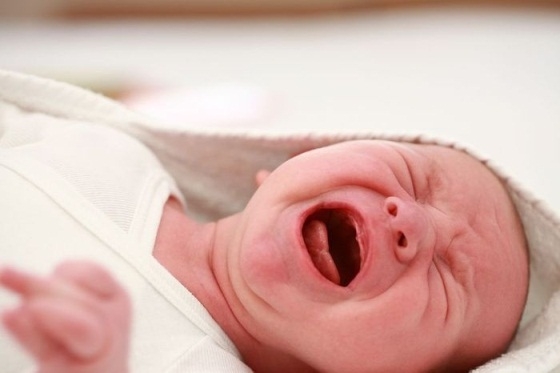Photo of Боботик для новорождённых: отзывы