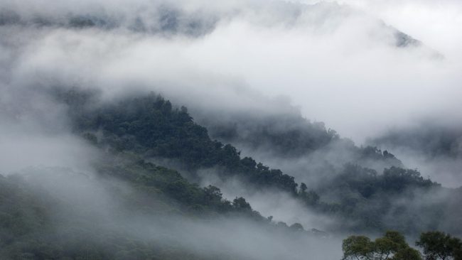 Photo of «Туманные» хранилища могут стать безопасной альтернативой «облачным»