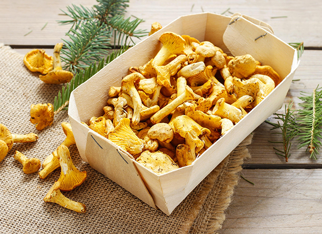 Photo of 5 рецептов с грибами: от ризотто с опятами до жареного картофеля с боровиками