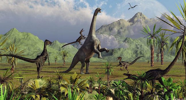 Photo of Вымирание динозавров — всего лишь случайность