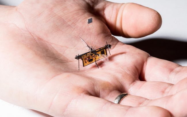 Photo of Робот-муха, которая получает энергию без проводов
