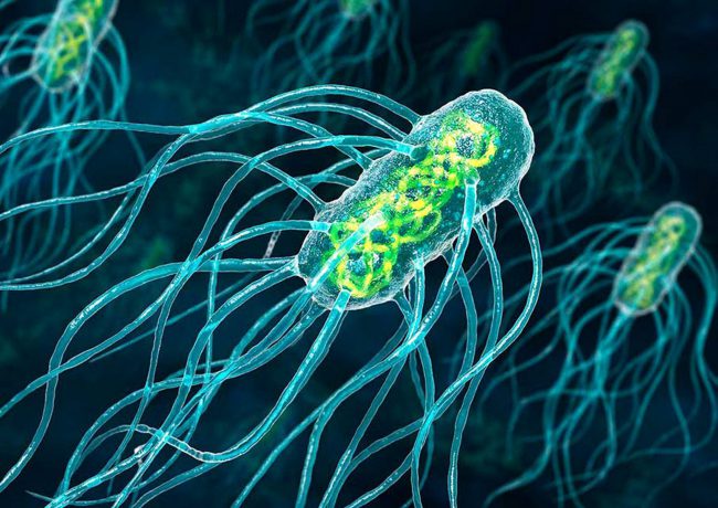Photo of Бактерий смогли превратить в нанороботов