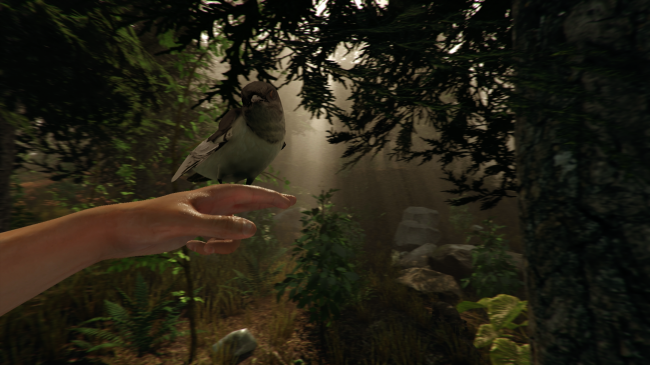 Photo of Игра The Forest для Oculus Rift научит вас выживать в лесу