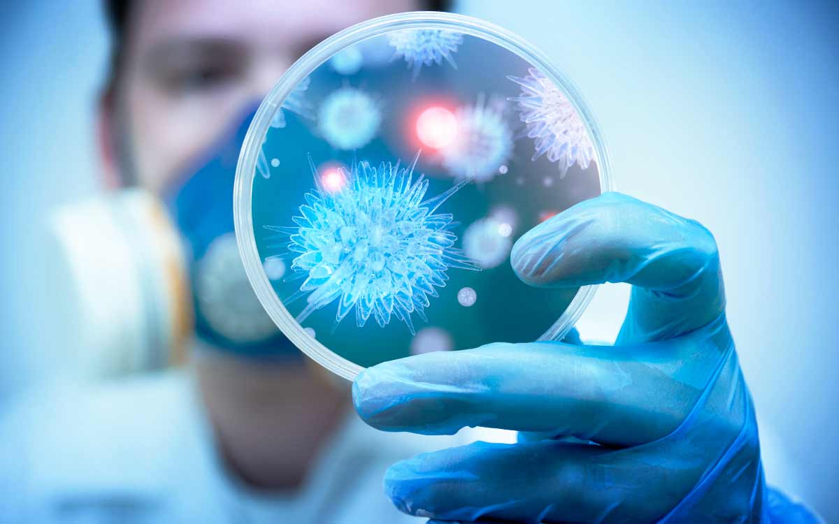 Photo of Ученые определили черты вируса, который вызовет пандемию