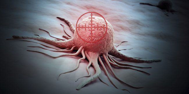 Photo of Найден способ уничтожать раковые клетки, оставляя в живых здоровые