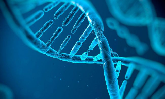 Photo of Учёные впервые отредактировали геном непосредственно внутри живого человека