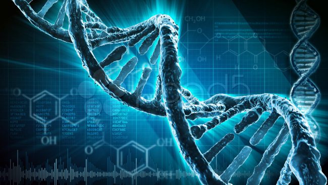 Photo of Разработаны ДНК-нанопроводники, которые могут быть использованы в создании генетических компьютеров