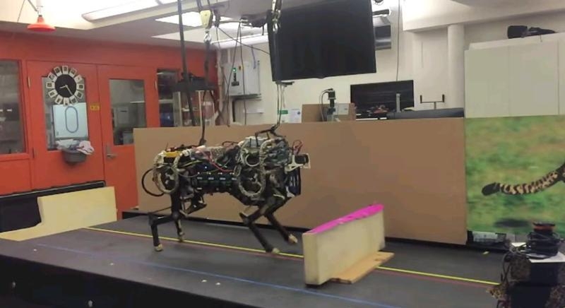 Photo of Видео: «роботопад» на турнире DARPA Robotics Challenge 2015″