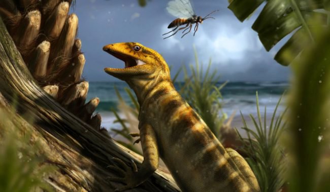 Photo of Найден первый предок змей и ящериц, живший 240 миллионов лет назад