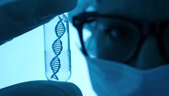 Photo of Ученые впервые «отключили» ген в эмбрионе человека
