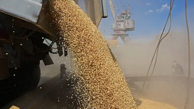 Photo of Политолог оценил последствия прекращения зерновой сделки